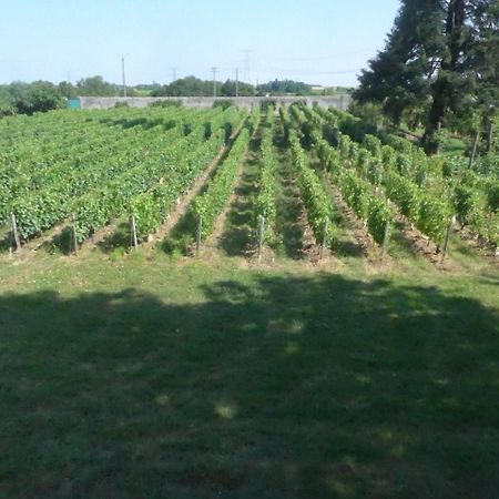 Au Clos De L'Epinay Vouvray Exterior photo